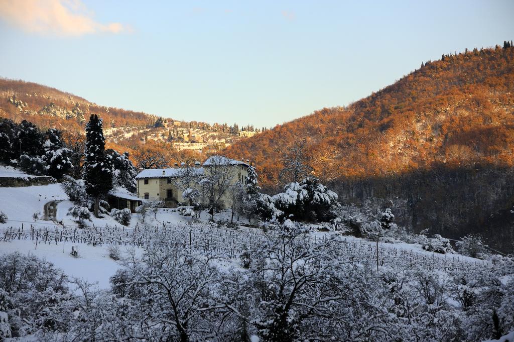 Tenuta Dei Cavalieri Molino del Piano Buitenkant foto