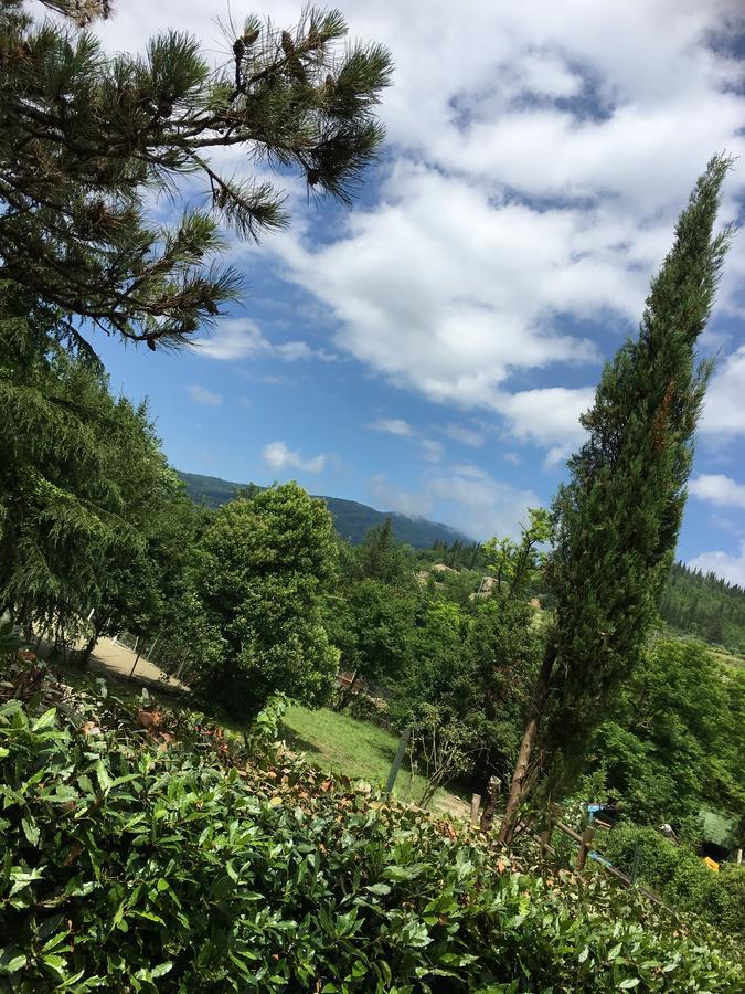 Tenuta Dei Cavalieri Molino del Piano Buitenkant foto